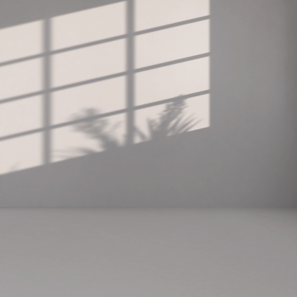 Interior Shadow 4 - Plant