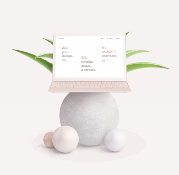 Macbook sur une sphère avec de l'aloe vera